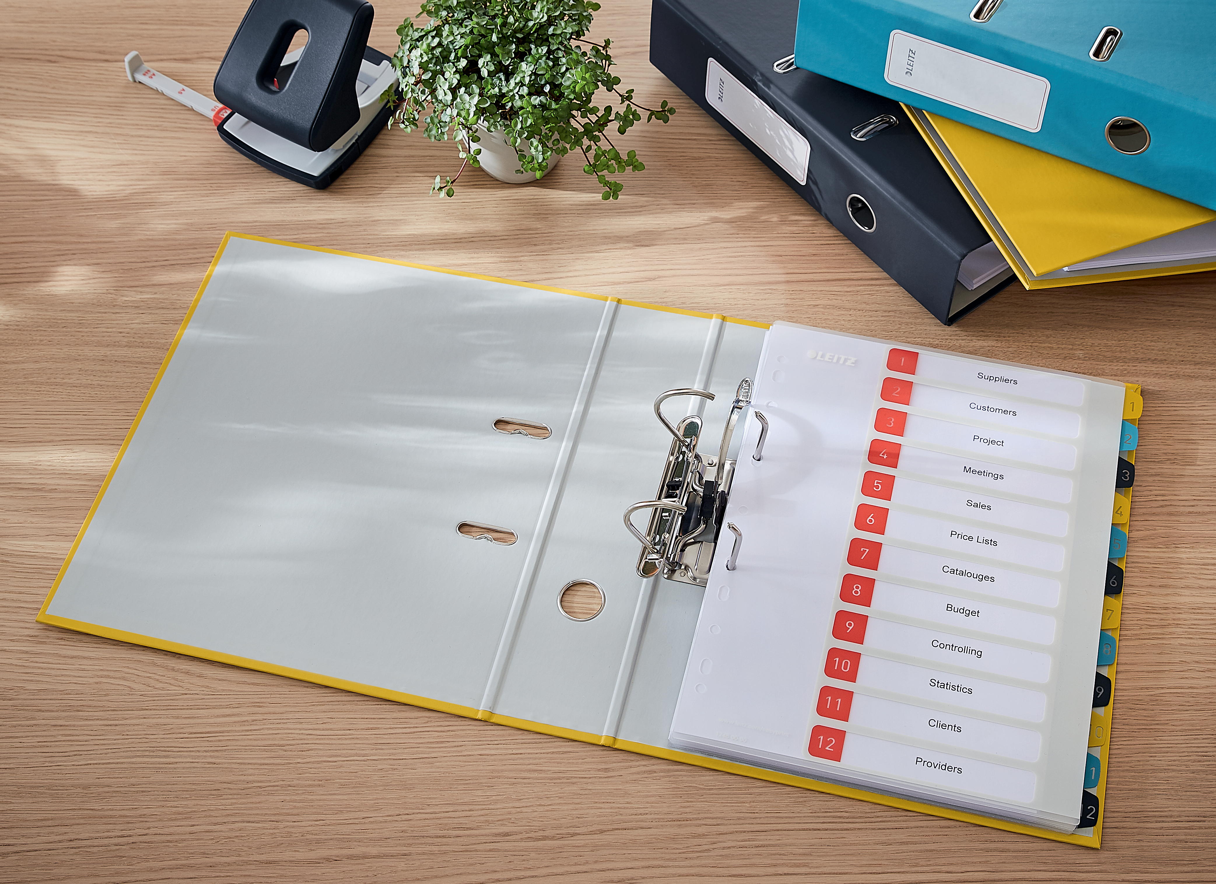 autograf